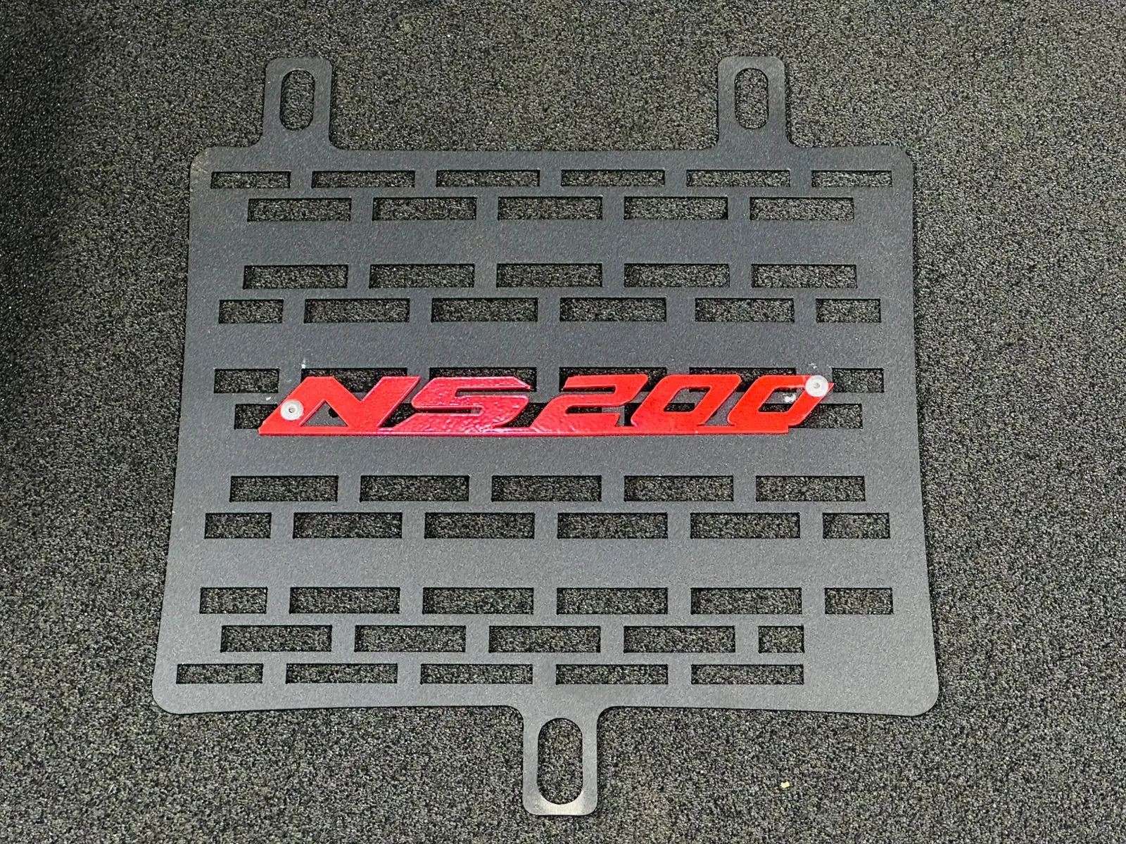 Radiator Guard ( NS 200 )
