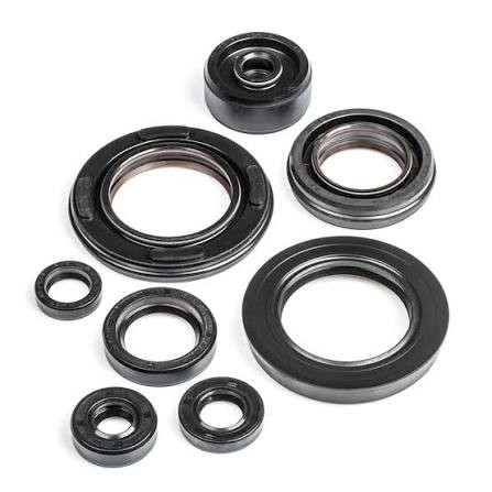 OIL SEAL KIT